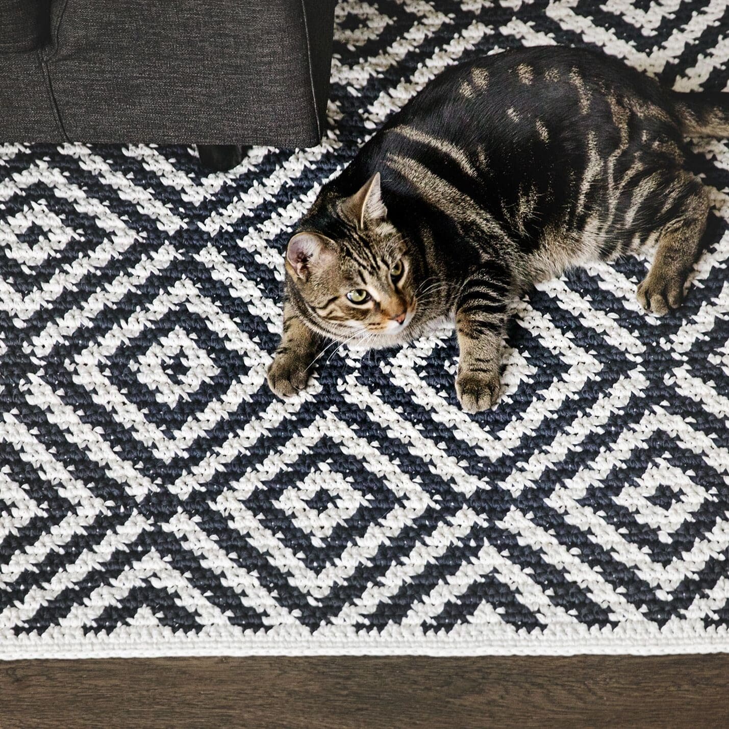 Tapestry Crochet Rug Pattern shown from above